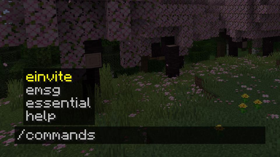 Chat Commands for Essential Mod