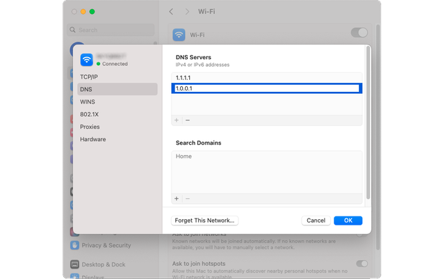 Input DNS servers