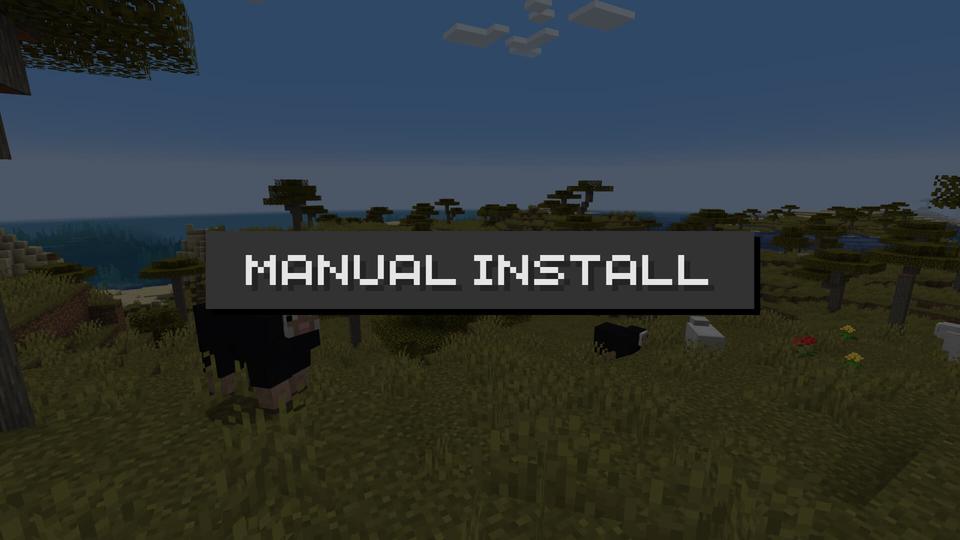 Manually install Essential Mod