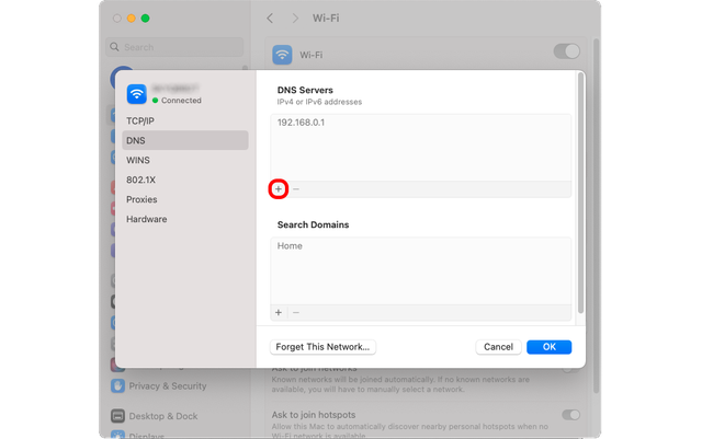 Add a DNS server