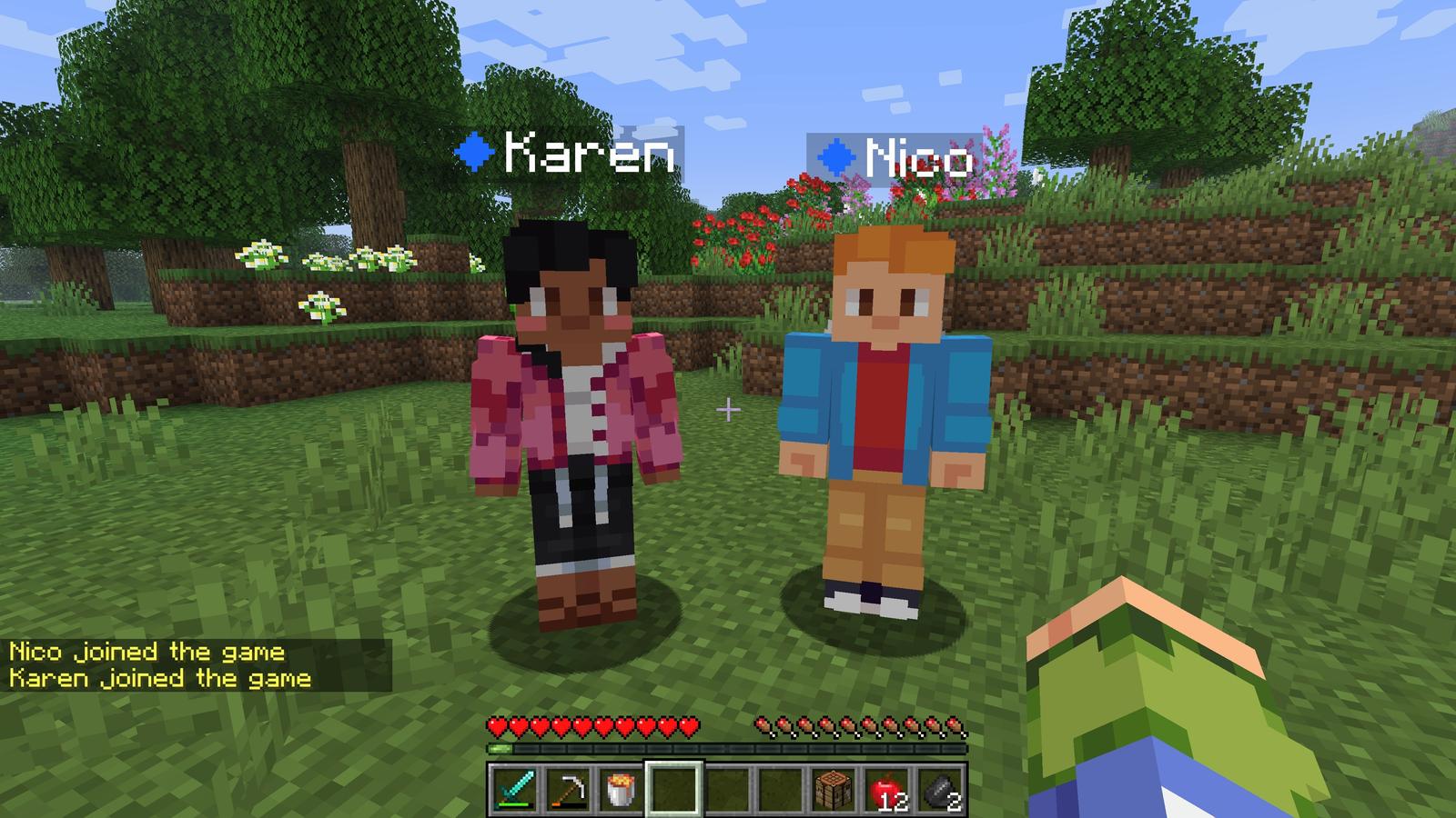 Play with your friends for free with Essential Mod, no server needed.
